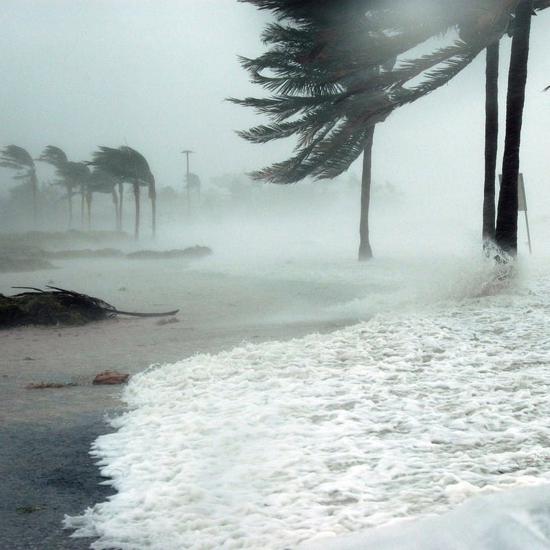 5 Ways to Hurricane-Proof Your Home     